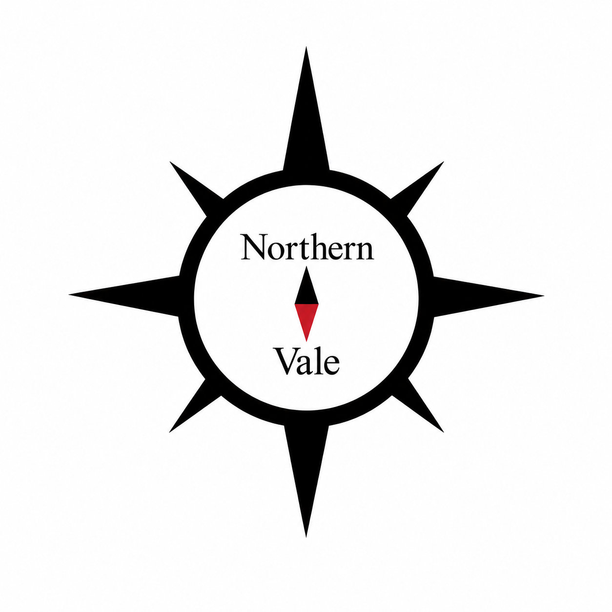 Northern Vale Ltd